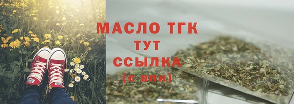 хмурый Абаза
