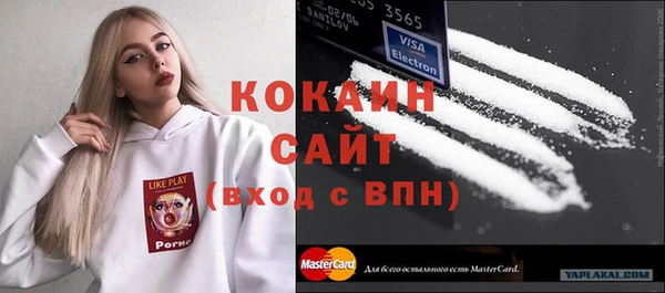 хмурый Абаза