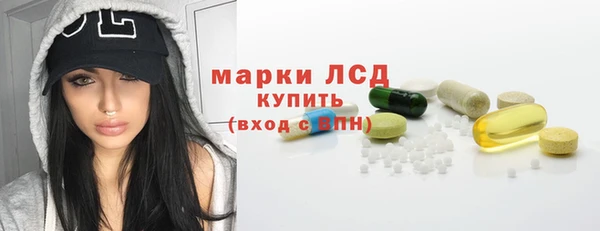 хмурый Абаза