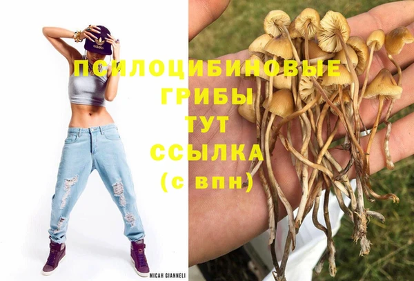 хмурый Абаза