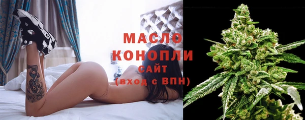 хмурый Абаза