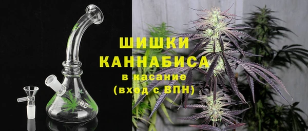 хмурый Абаза