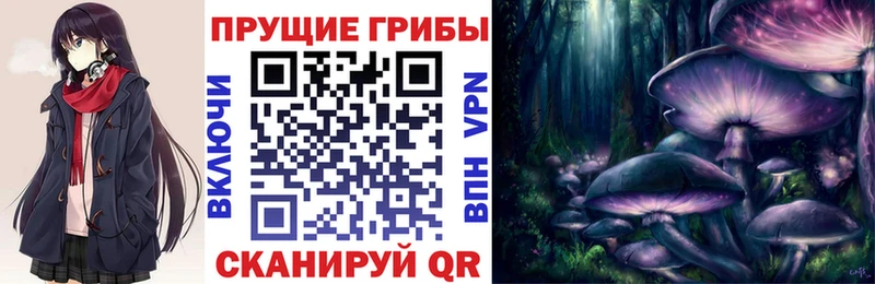 OMG ТОР купить закладку Усть-Катав Галлюциногенные грибы Cubensis